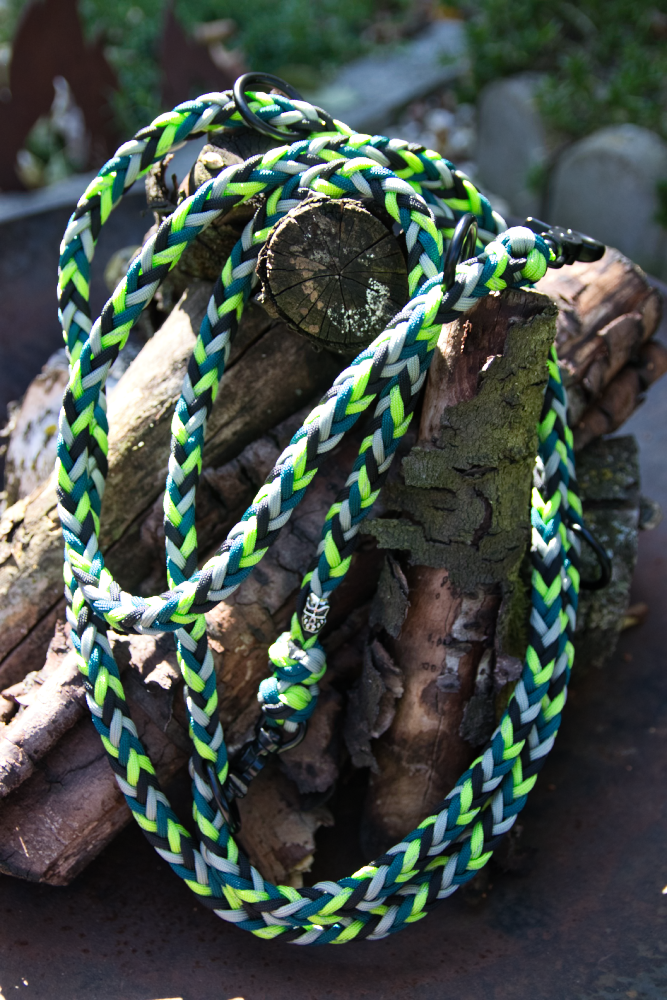 Hundeleine, vierfarbig